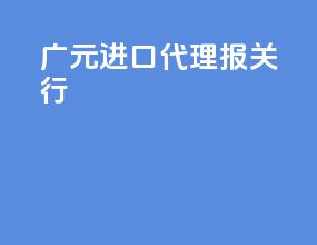 广元进口代理报关行