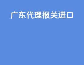 广东代理报关进口