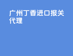 广州丁香进口报关代理