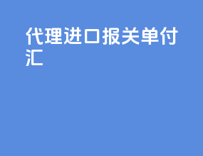代理进口报关单付汇