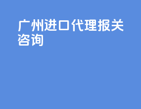广州进口代理报关咨询