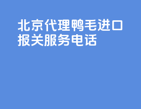 北京代理鸭毛进口报关服务电话