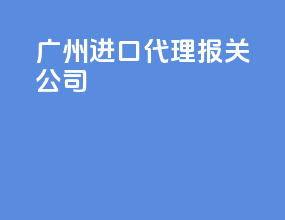 广州进口代理报关公司
