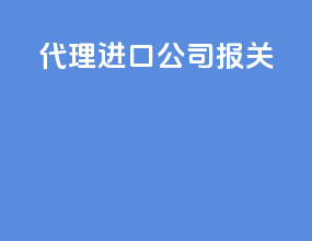 代理进口公司报关