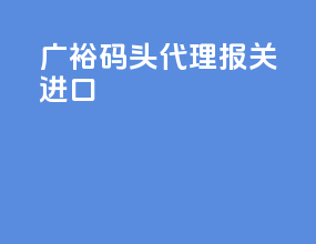 广裕码头代理报关进口