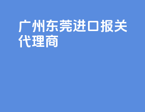 广州东莞进口报关代理商