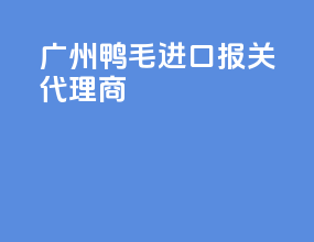 广州鸭毛进口报关代理商