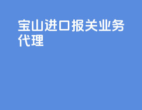 宝山进口报关业务代理