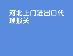河北上门进出口代理报关
