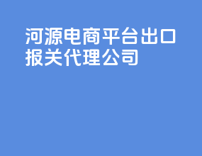 河源电商平台出口报关代理公司