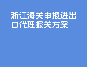 浙江海关申报进出口代理报关方案