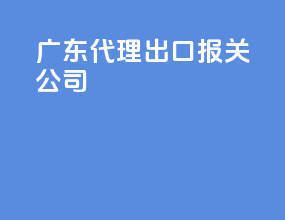 广东代理出口报关公司