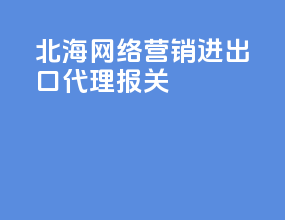 北海网络营销进出口代理报关