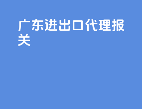 广东进出口代理报关