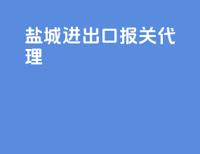 盐城进出口报关代理