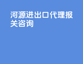河源进出口代理报关咨询