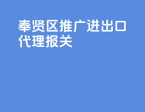 奉贤区推广进出口代理报关