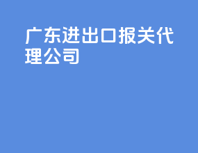 广东进出口报关代理公司
