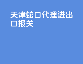 天津蛇口代理进出口报关