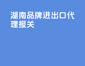 湖南品牌进出口代理报关