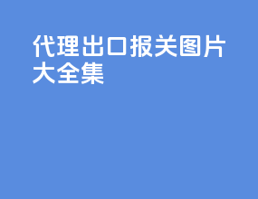 代理出口报关图片大全集