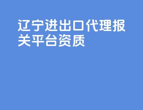 辽宁进出口代理报关平台资质
