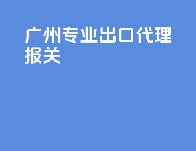 广州专业出口代理报关