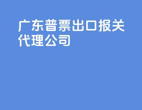 广东普票出口报关代理公司