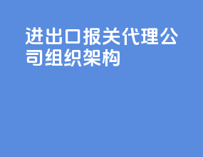 进出口报关代理公司组织架构