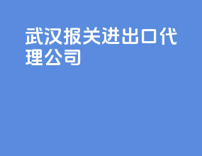 武汉报关进出口代理公司