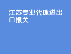 江苏专业代理进出口报关