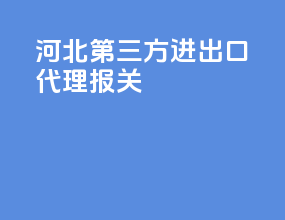 河北第三方进出口代理报关