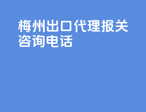 梅州出口代理报关咨询电话
