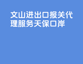 文山进出口报关代理服务天保口岸