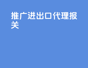 推广进出口代理报关