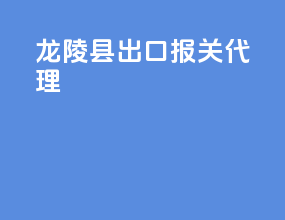 龙陵县出口报关代理