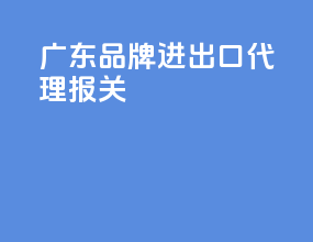 广东品牌进出口代理报关