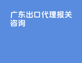 广东出口代理报关咨询