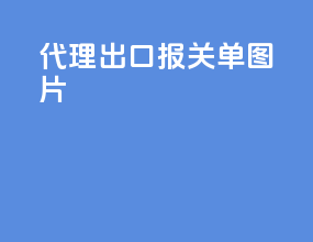 代理出口报关单图片