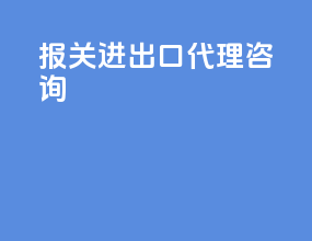 报关进出口代理咨询