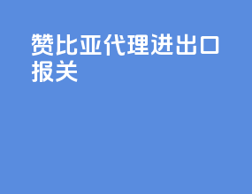 赞比亚代理进出口报关