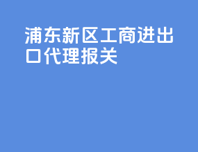浦东新区工商进出口代理报关