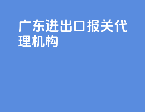 广东进出口报关代理机构