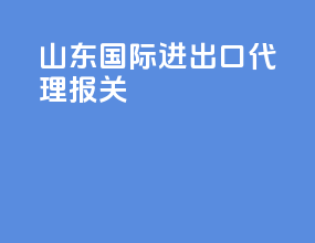 山东国际进出口代理报关