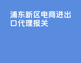 浦东新区电商进出口代理报关