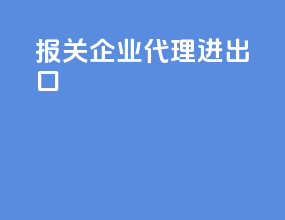 报关企业代理进出口