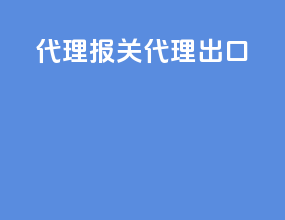 代理报关代理出口