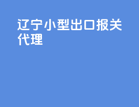 辽宁小型出口报关代理