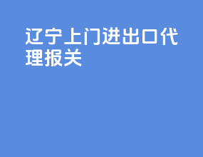 辽宁上门进出口代理报关