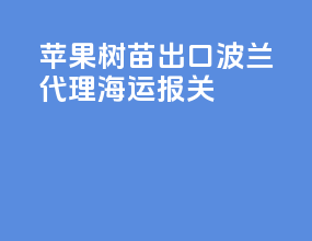 苹果树苗出口波兰代理海运报关